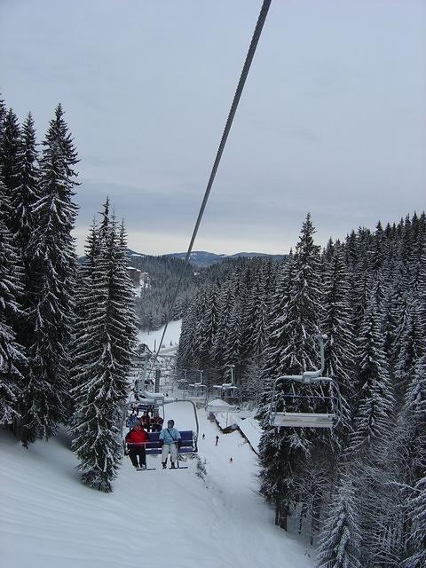 dsc00639.jpg