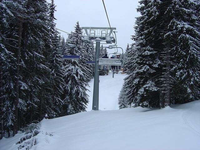 dsc00641.jpg