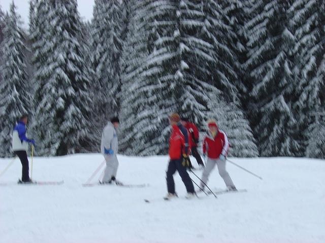 dsc00644.jpg
