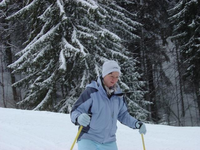 dsc00647.jpg