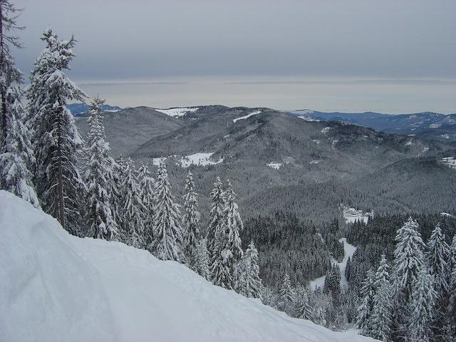 dsc00650.jpg