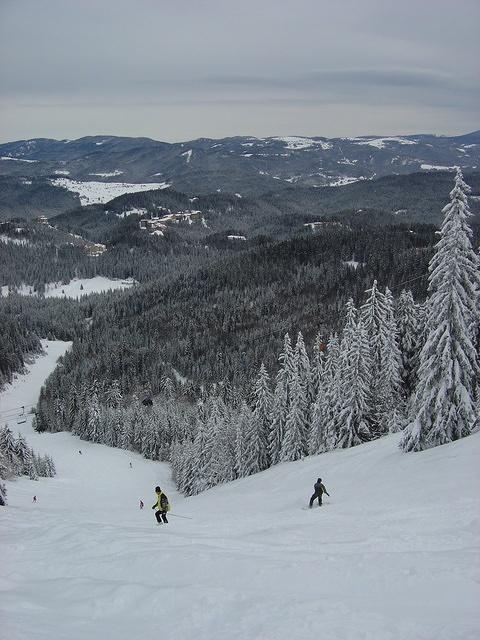 dsc00651.jpg