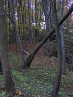Picture_009.jpg