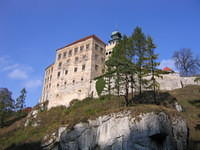 Picture_013.jpg