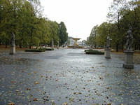 dsc00223.jpg