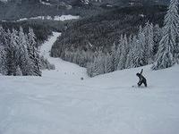 dsc00649.jpg