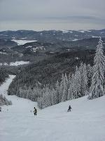 dsc00651.jpg